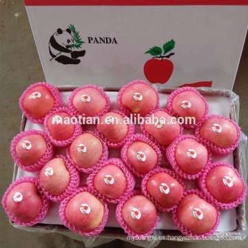 Yantai Fresh Sugar Apple en venta en es.dhgate.com